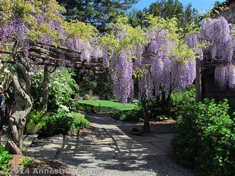 arboretum